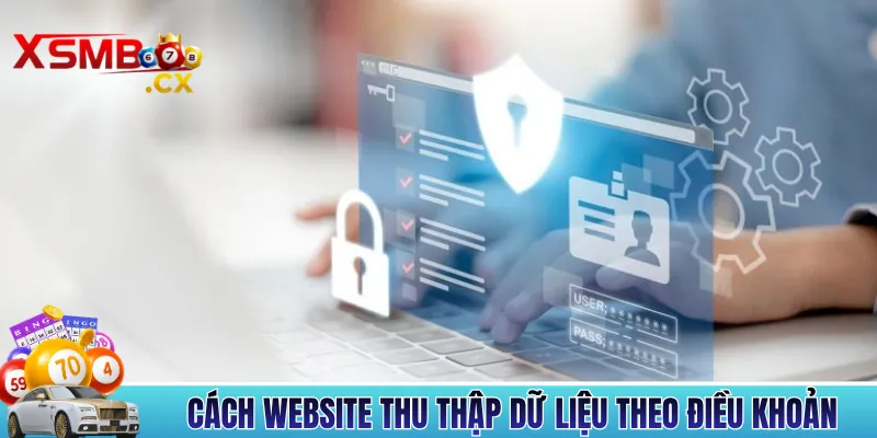 Cách website thu thập dữ liệu theo điều khoản