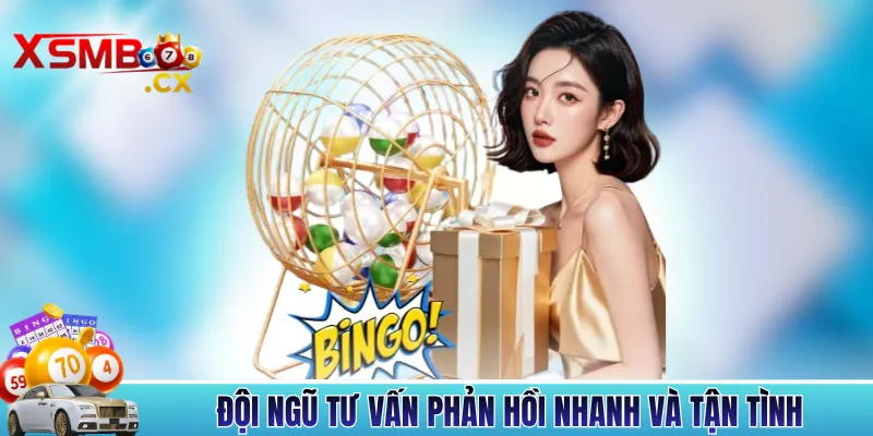 Đội ngũ tư vấn phản hồi nhanh và tận tình