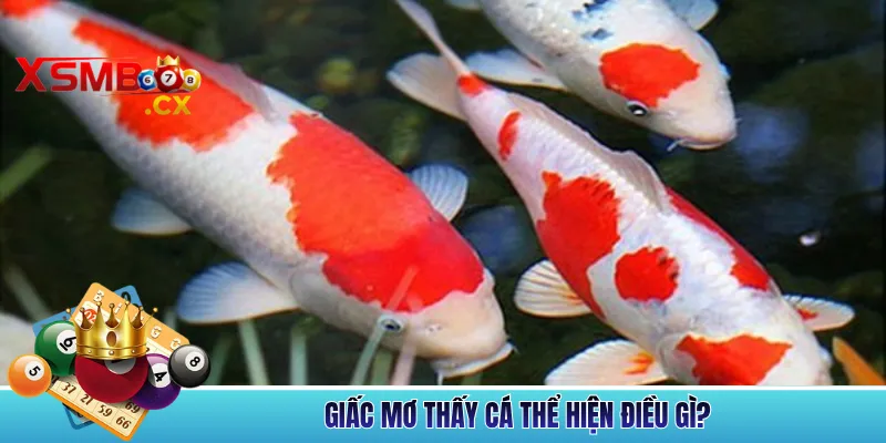 Giấc Mơ Thấy Cá Thể Hiện Điều Gì?
