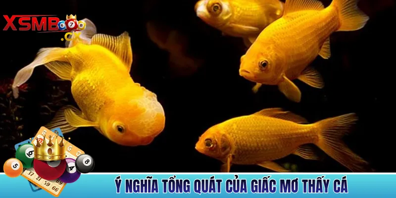 Ý Nghĩa Tổng Quát Của Giấc Mơ Thấy Cá