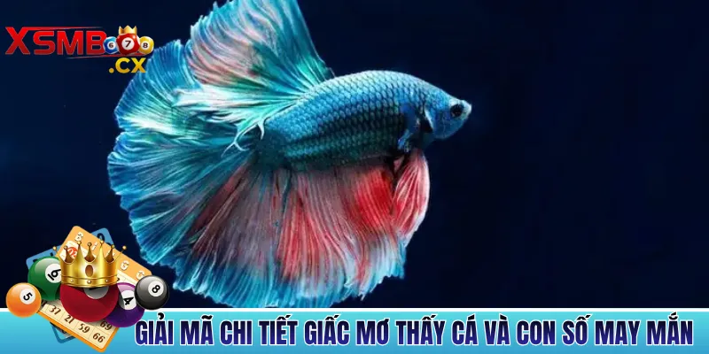 Giải Mã Chi Tiết Giấc Mơ Thấy Cá Và Con Số May Mắn 2026