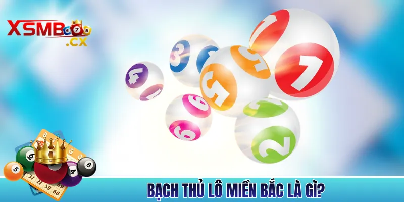 Bạch Thủ Lô Miền Bắc Là Gì?