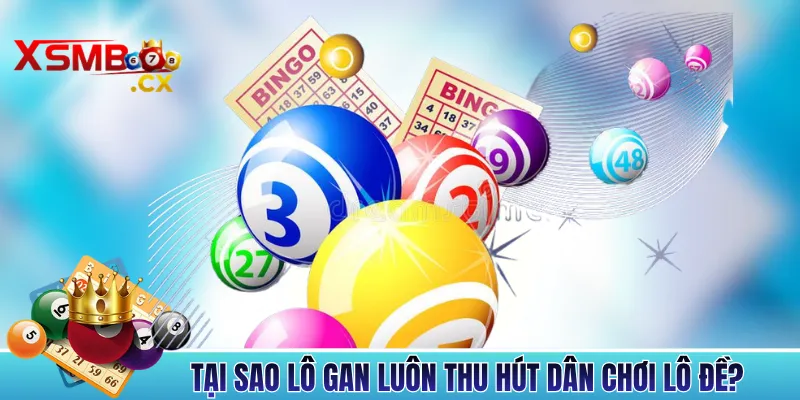 Tại Sao Lô Gan Luôn Thu Hút Dân Chơi Lô Đề?